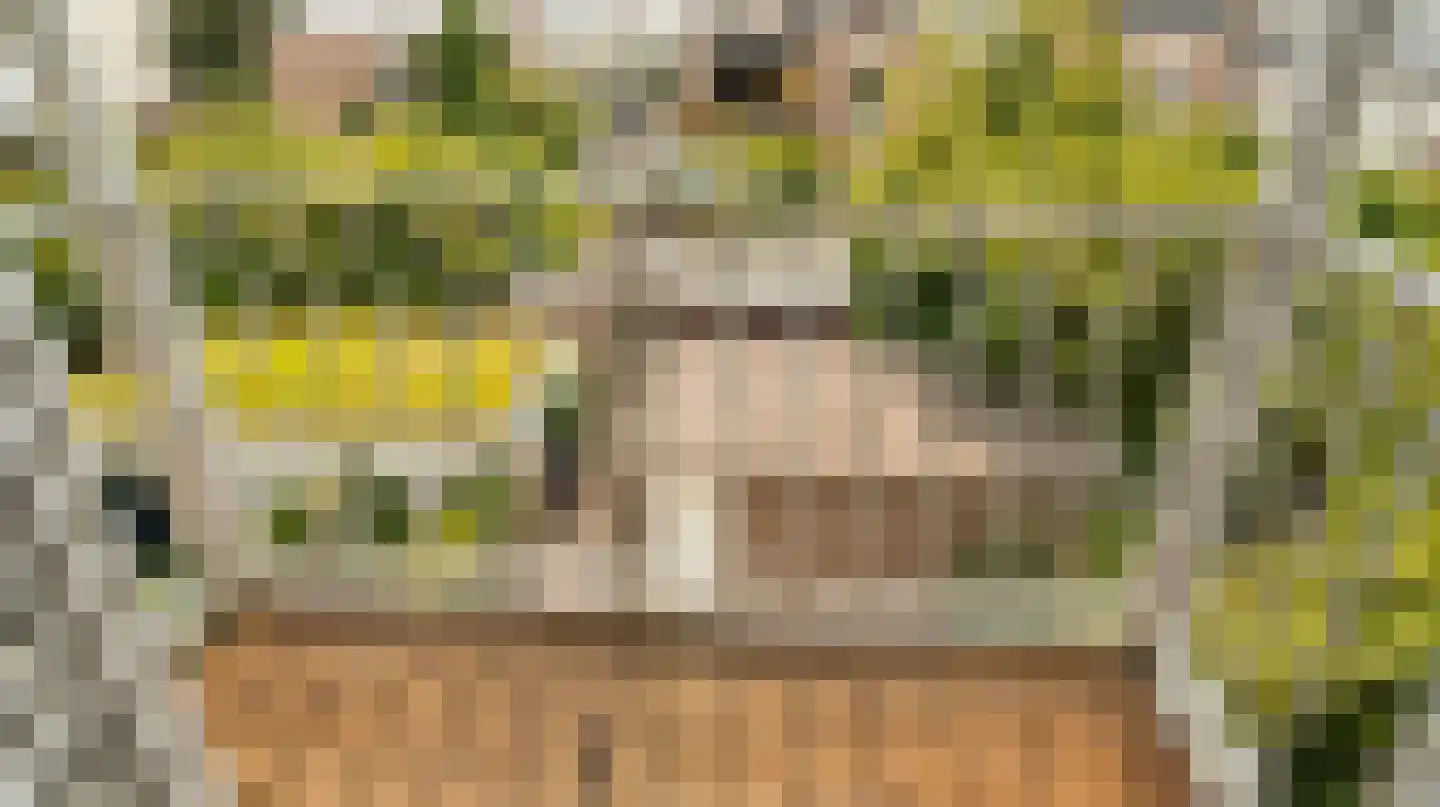 Emmastraat 11 2 Arnhem thumbnail 33