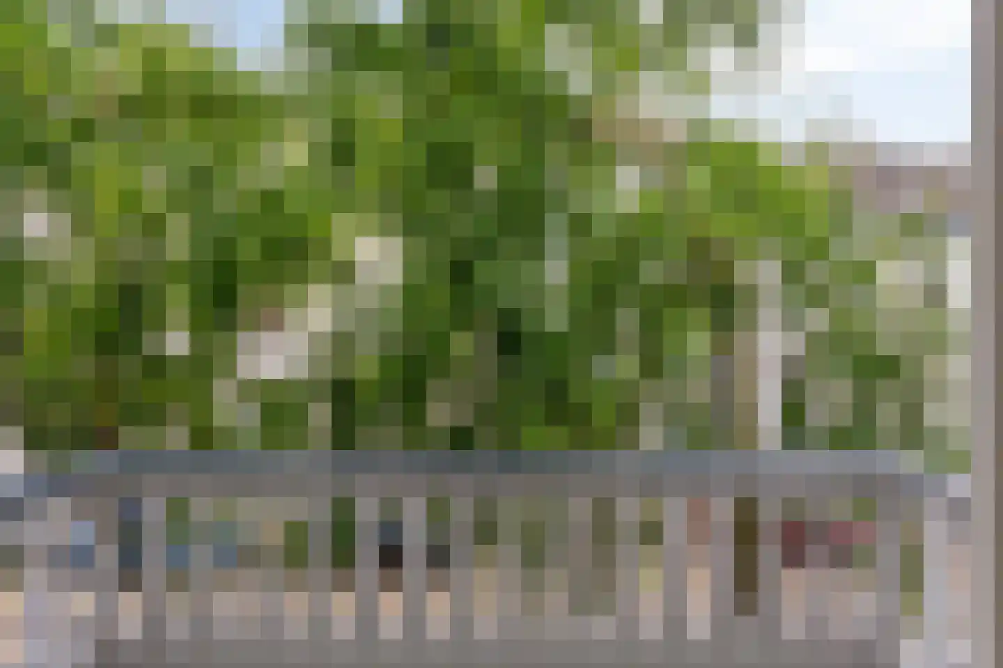 Emmastraat 11 2 Arnhem thumbnail 4