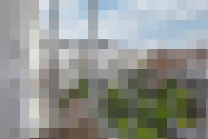 Emmastraat 11 3 Arnhem thumbnail 23