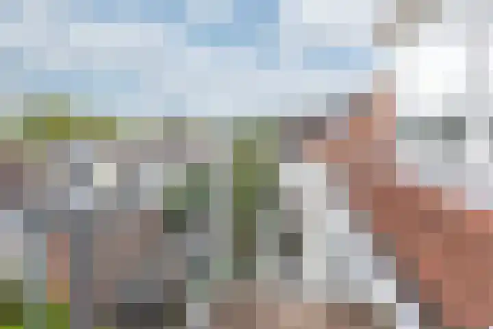 Emmastraat 11 4 Arnhem thumbnail 33