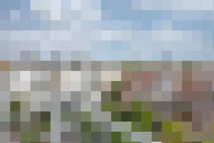 Emmastraat 11 4 Arnhem thumbnail 34