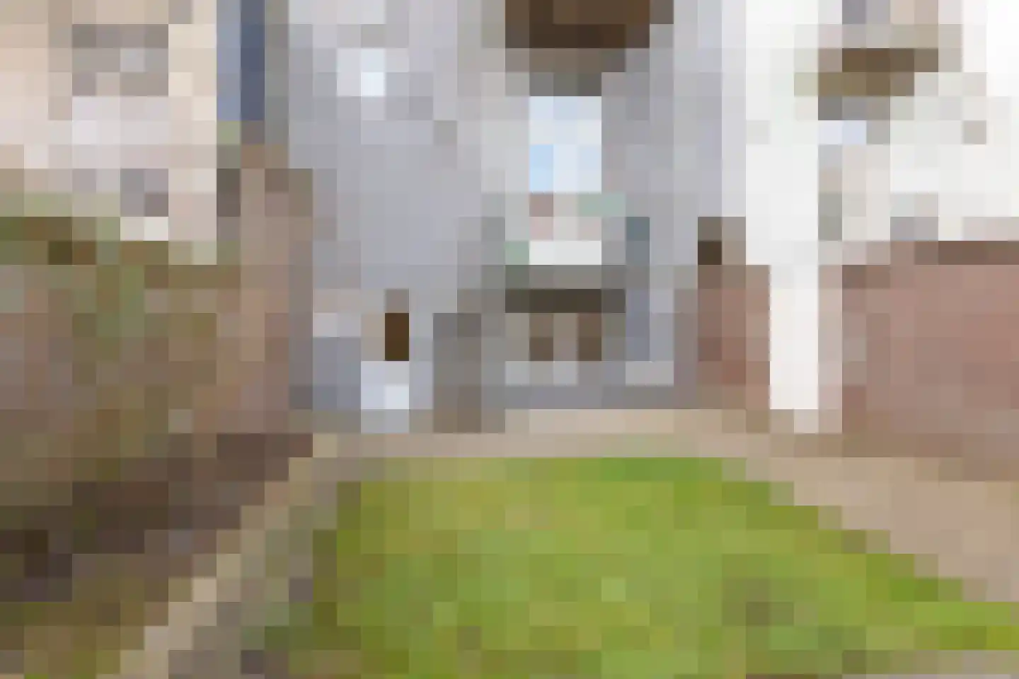 Emmastraat 11 A Arnhem thumbnail 26