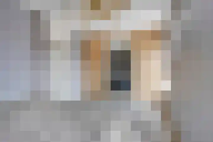 Emmastraat 112 Rozenburg thumbnail 21