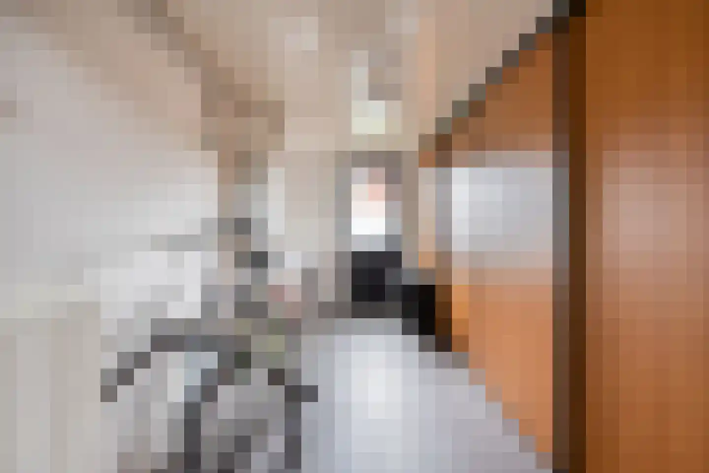 Emmastraat 12 Berlicum thumbnail 11