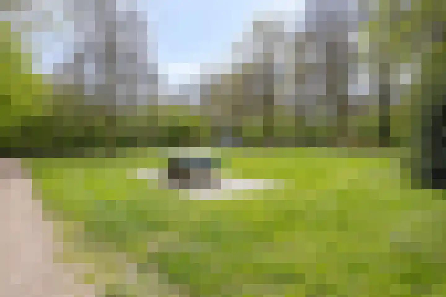 Emmastraat 12 Berlicum thumbnail 29