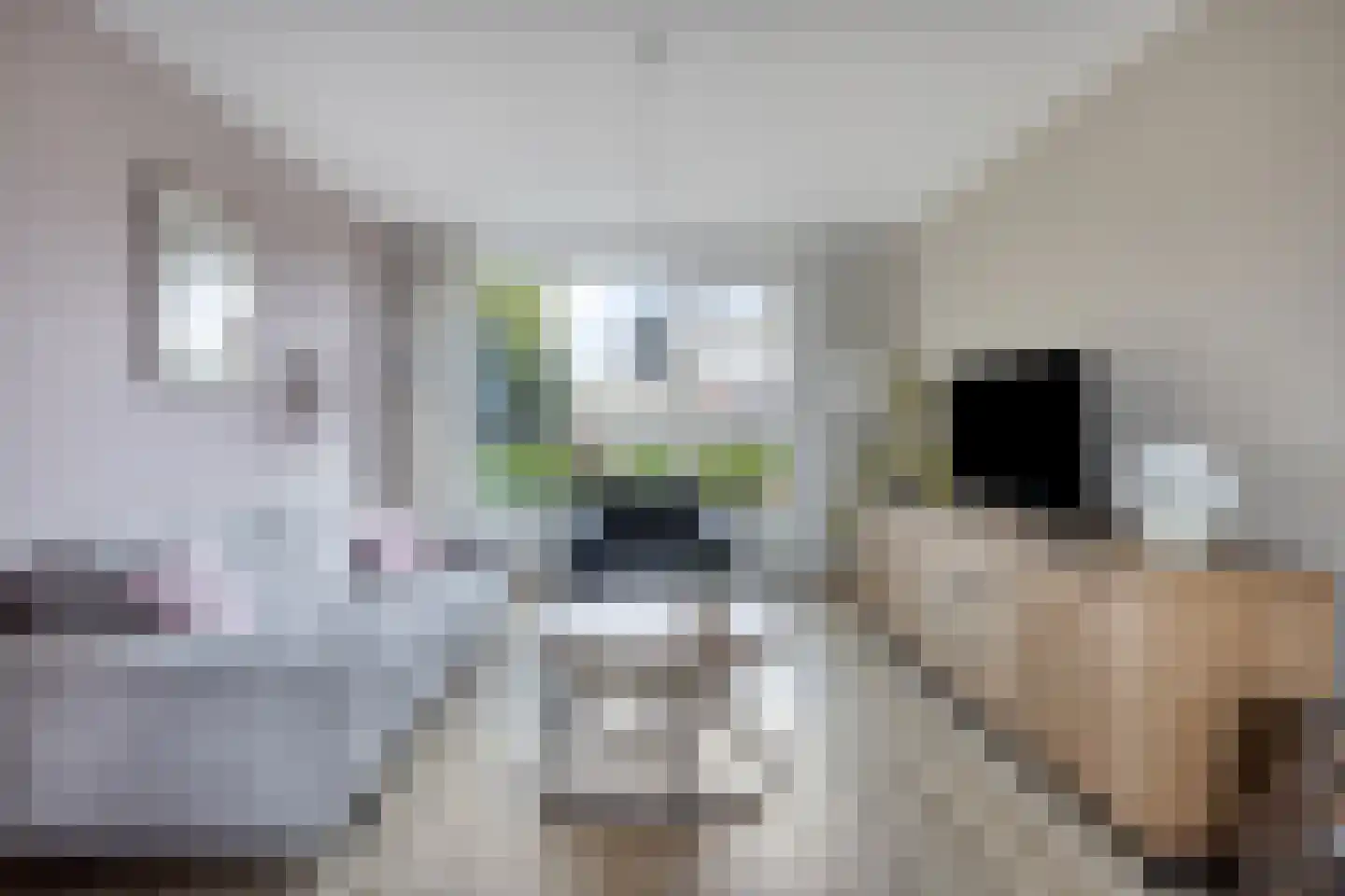 Emmastraat 12 Berlicum thumbnail 5
