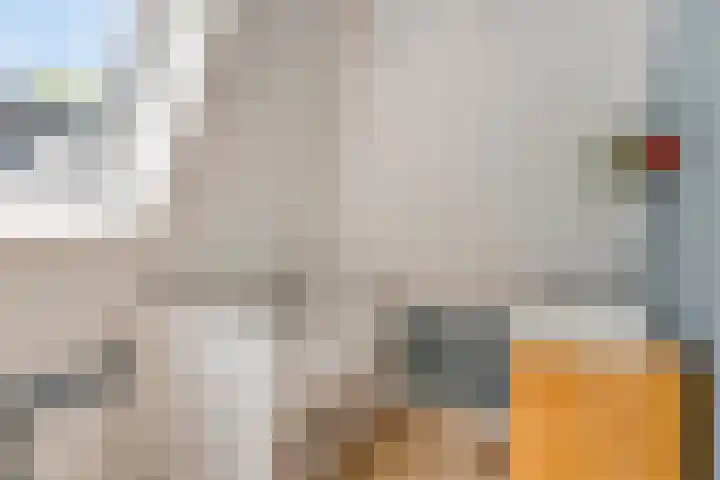 Emmastraat 12 Goes thumbnail 18