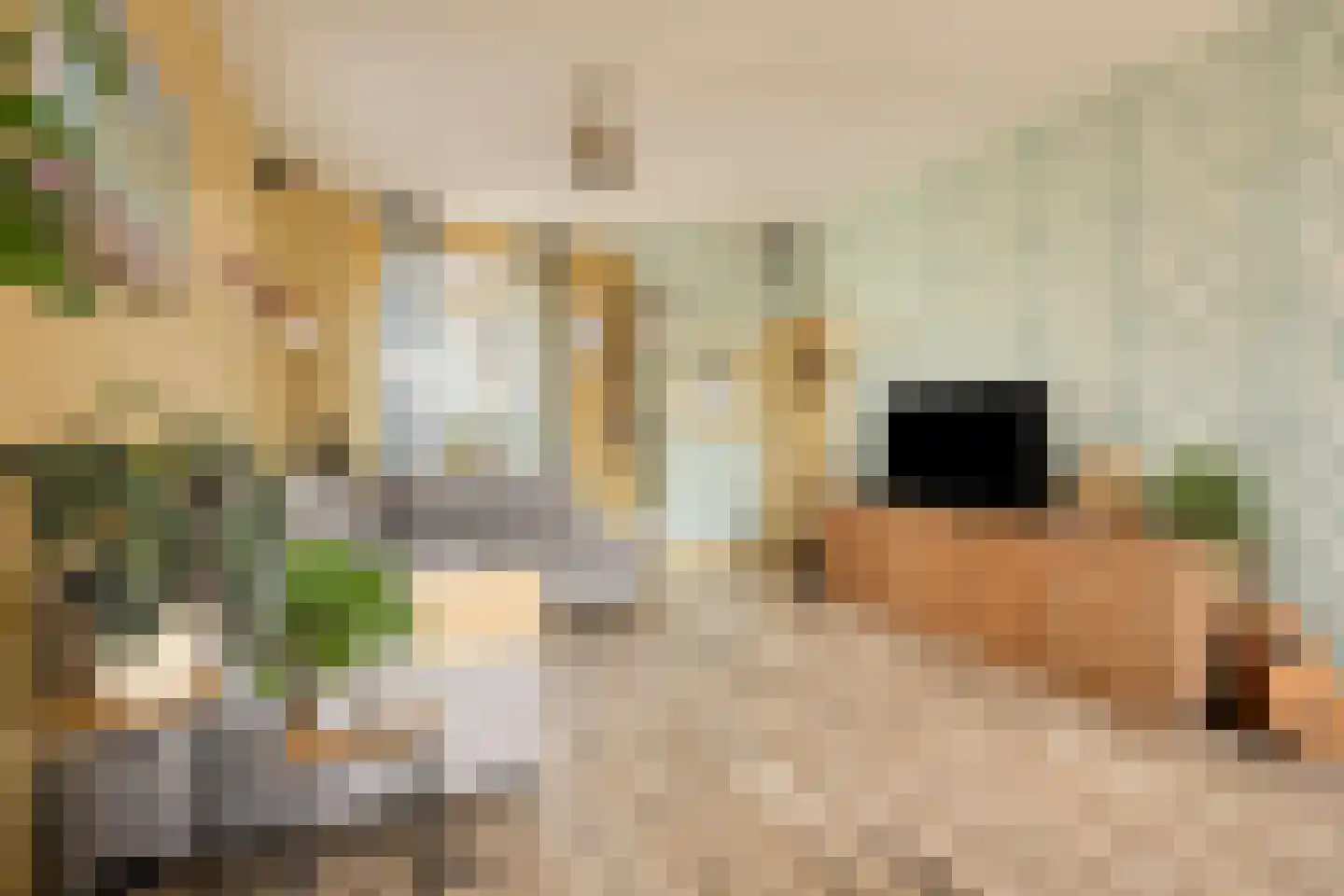 Emmastraat 12 Naaldwijk thumbnail 12