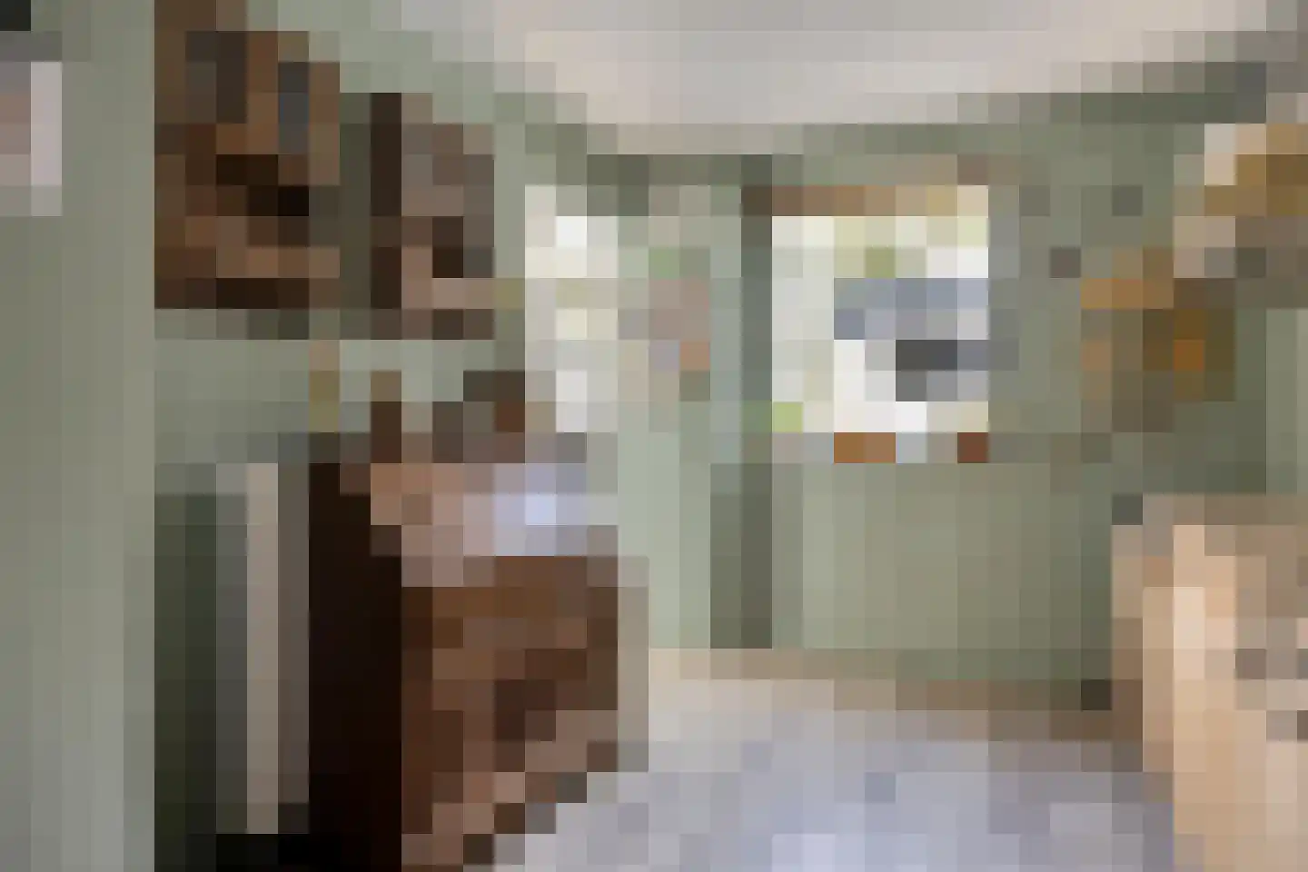 Emmastraat 12 Naaldwijk thumbnail 16
