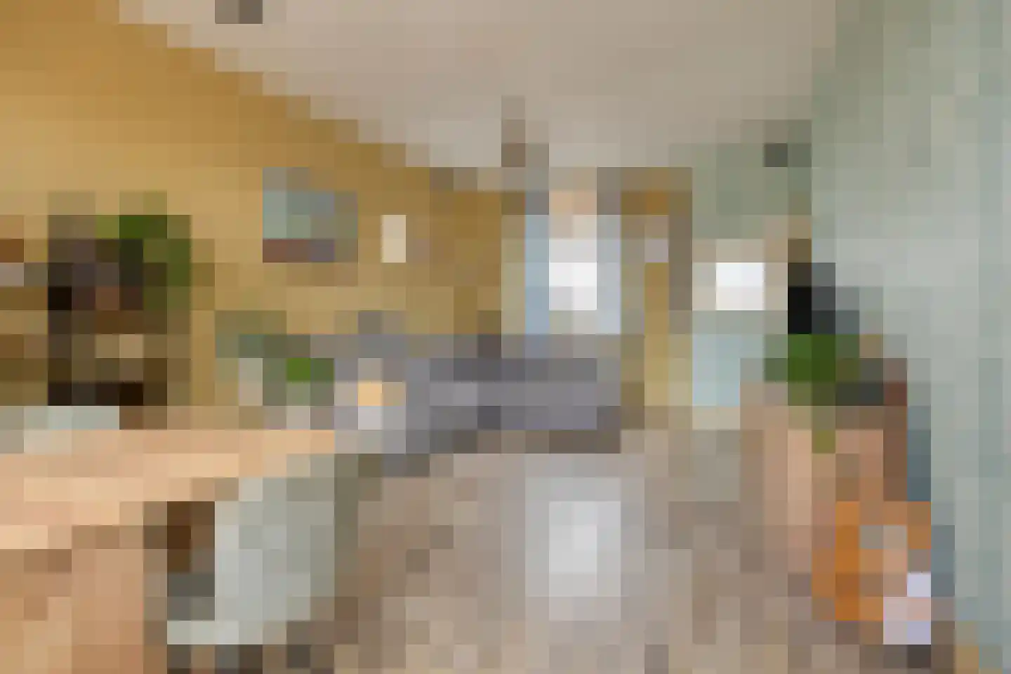 Emmastraat 12 Naaldwijk thumbnail 7