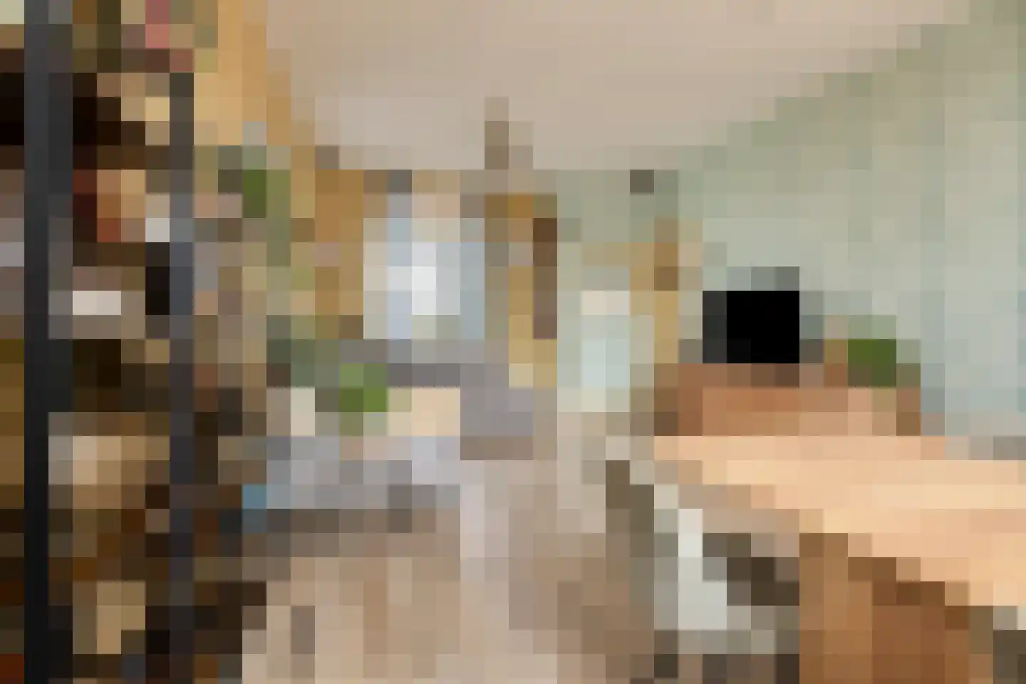 Emmastraat 12 Naaldwijk thumbnail 8