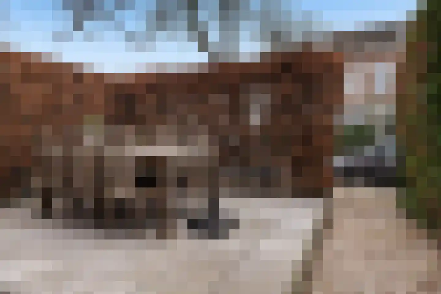 Emmastraat 13 Dordrecht thumbnail 4