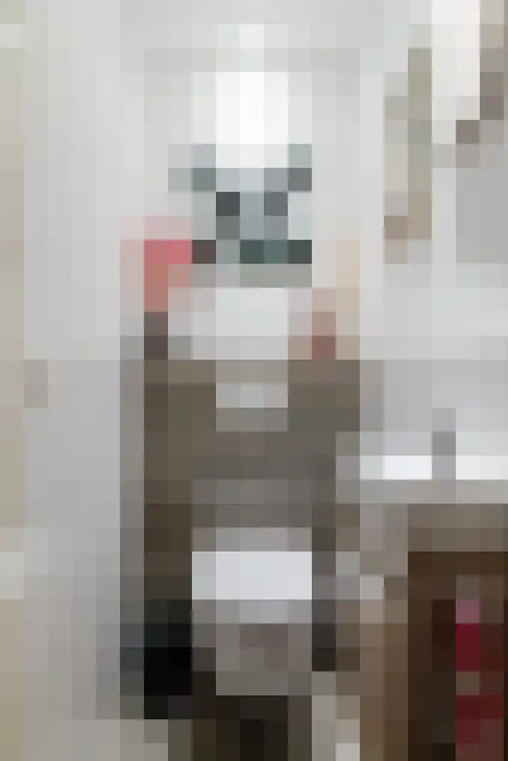 Emmastraat 13 Heino thumbnail 19