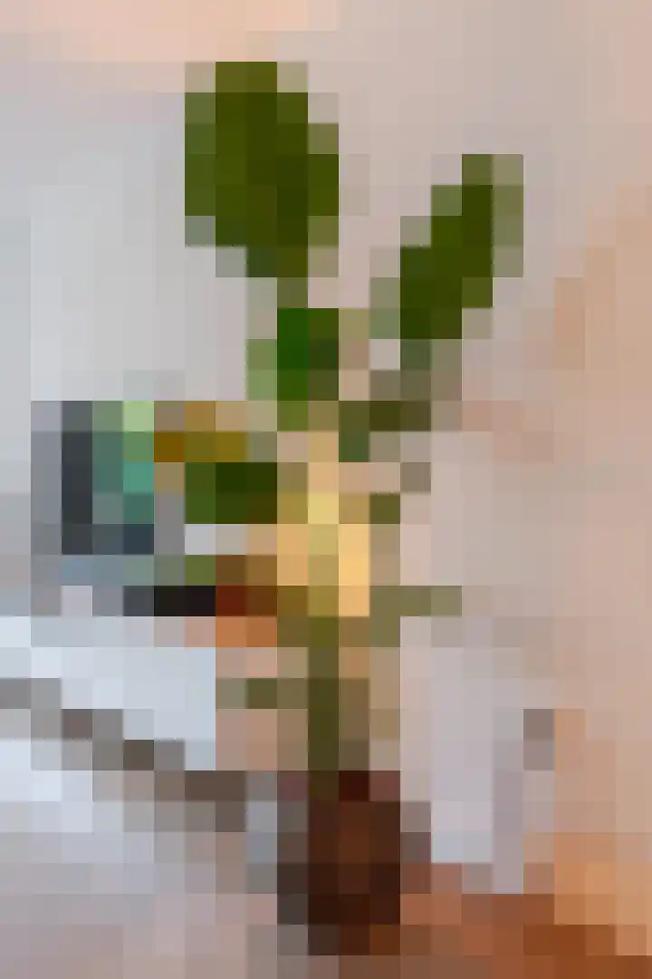 Emmastraat 13 Heino thumbnail 5