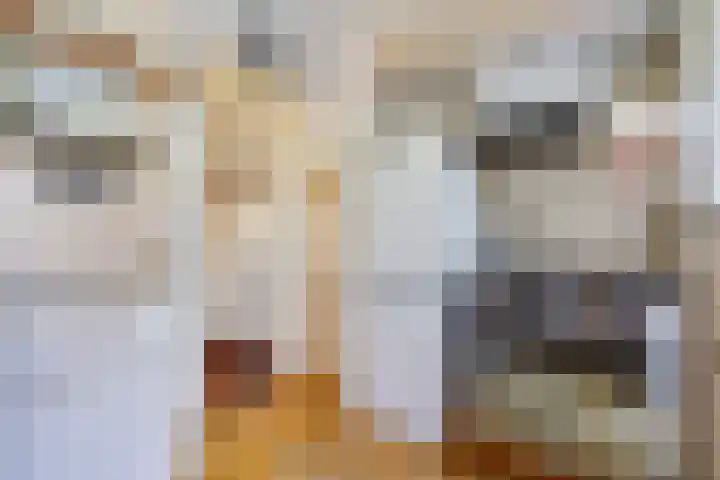 Emmastraat 132 Monster thumbnail 13