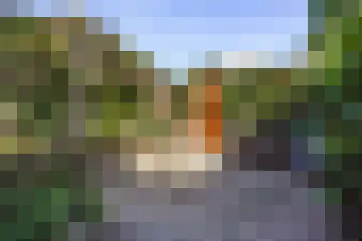 Emmastraat 132 Monster thumbnail 17
