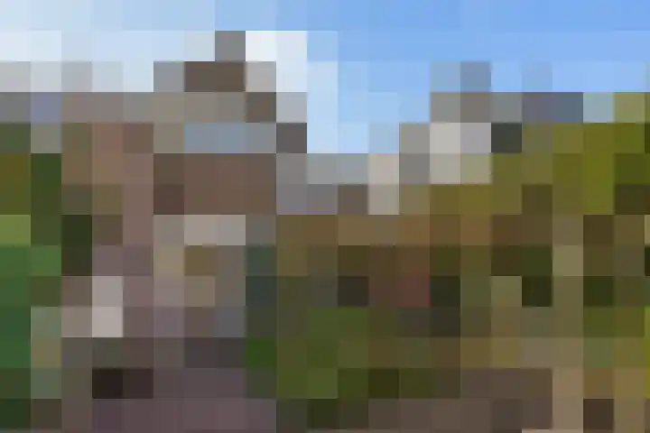 Emmastraat 132 Monster thumbnail 18