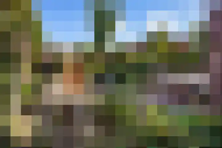 Emmastraat 132 Monster thumbnail 19