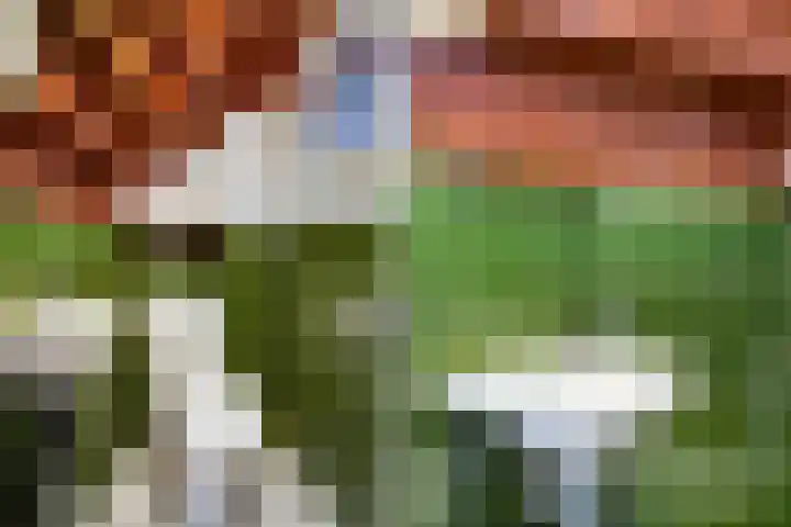 Emmastraat 132 Monster thumbnail 25