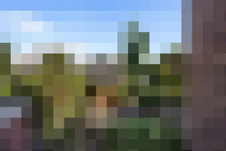 Emmastraat 132 Monster thumbnail 33