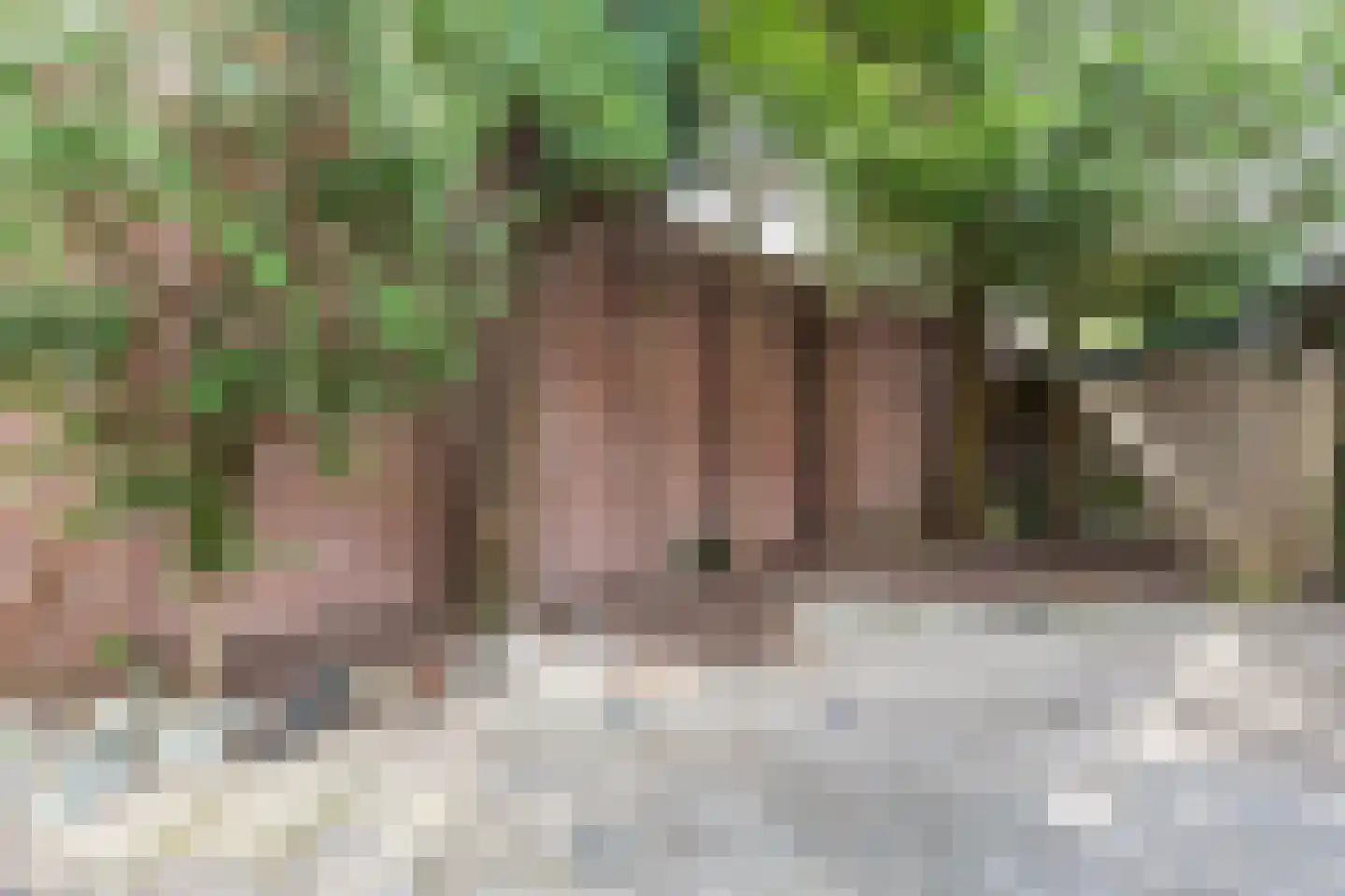 Emmastraat 14 f Waalre thumbnail 34