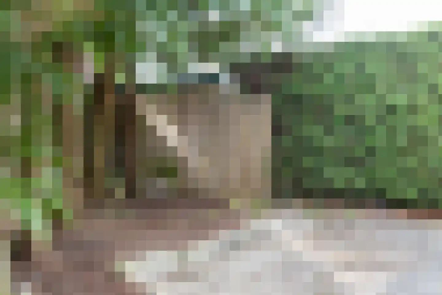 Emmastraat 14 f Waalre thumbnail 35