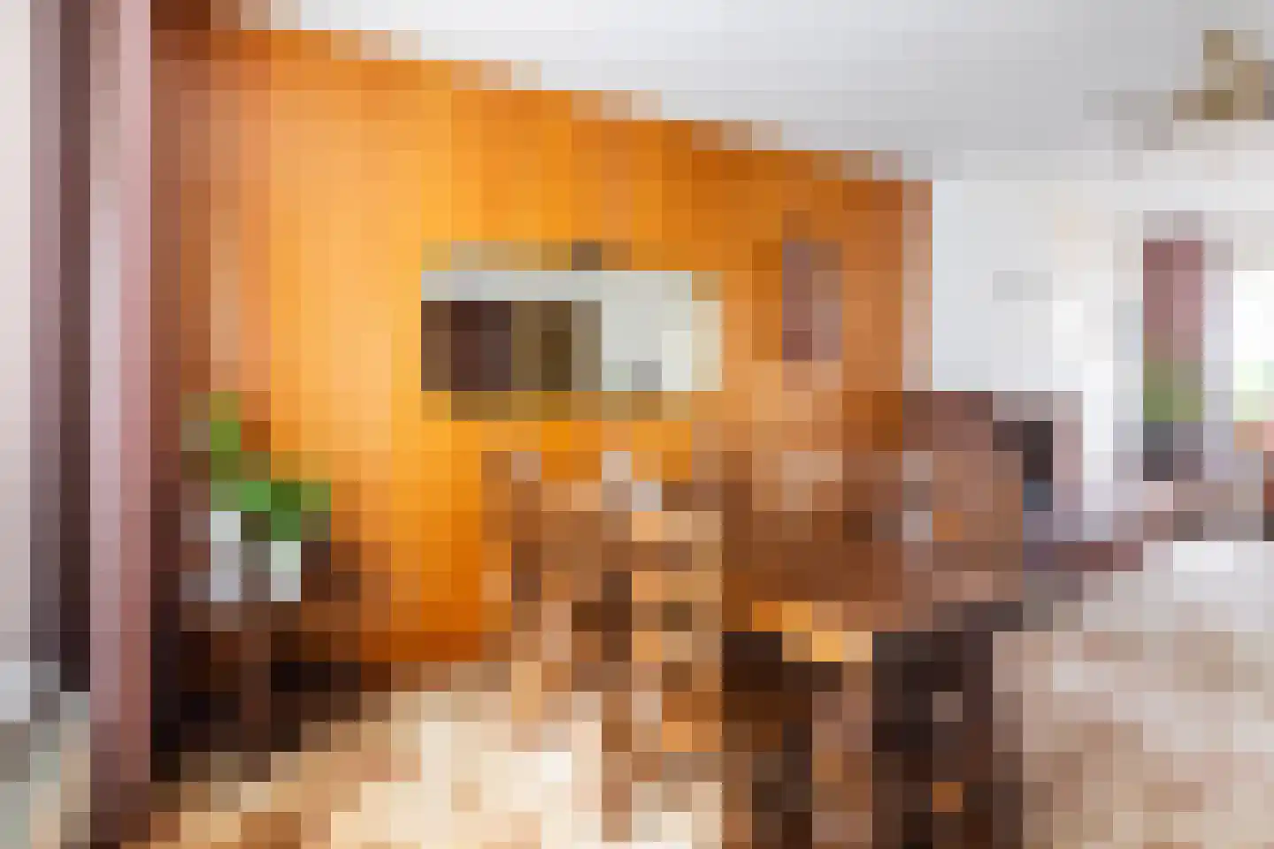 Emmastraat 14 f Waalre thumbnail 6
