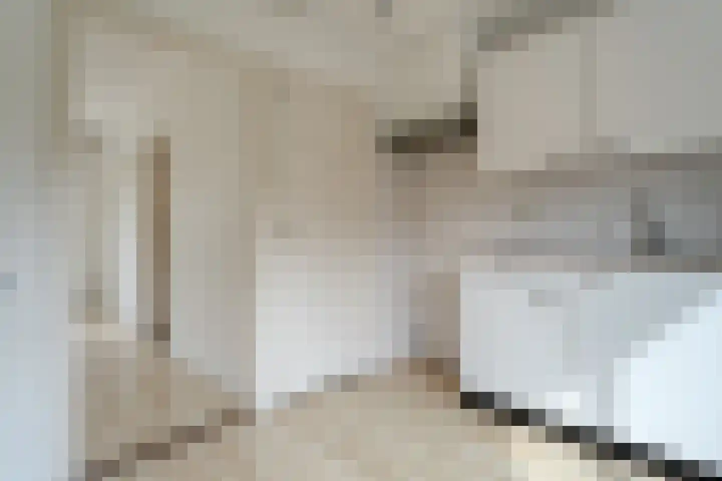 Emmastraat 14 Heino thumbnail 17