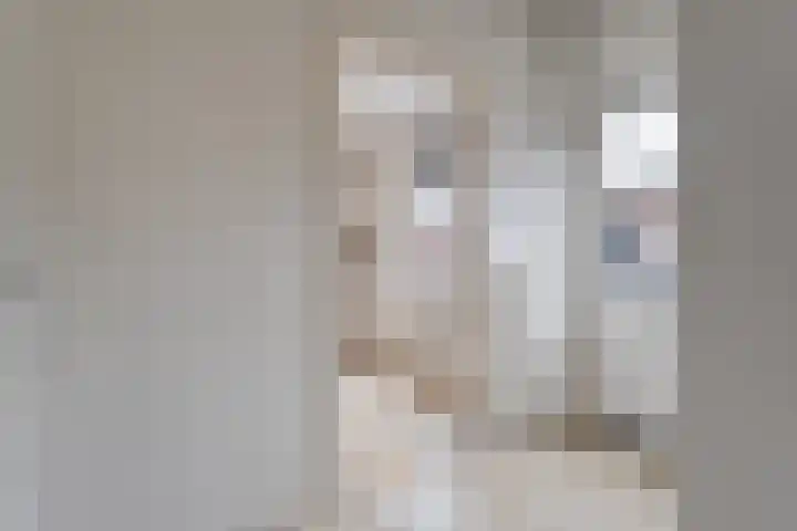 Emmastraat 14 Heino thumbnail 19