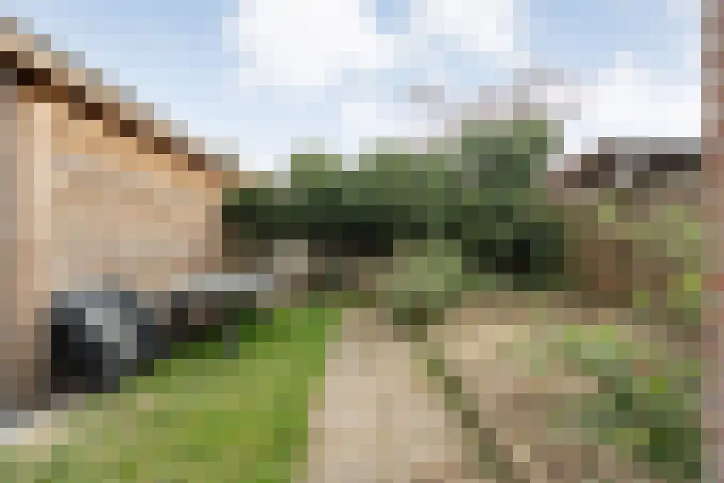 Emmastraat 14 Heino thumbnail 33
