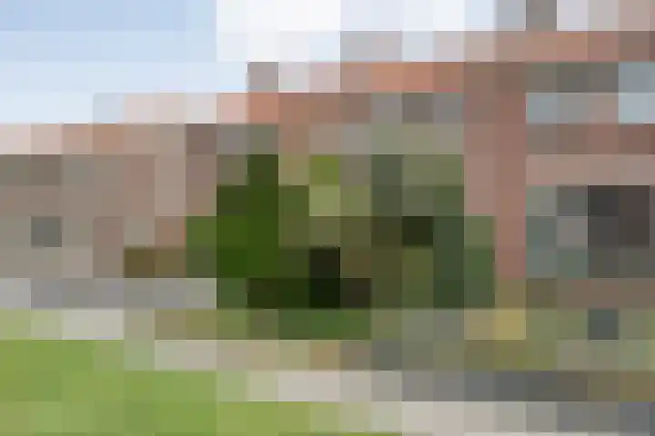 Emmastraat 14 Heino thumbnail 4