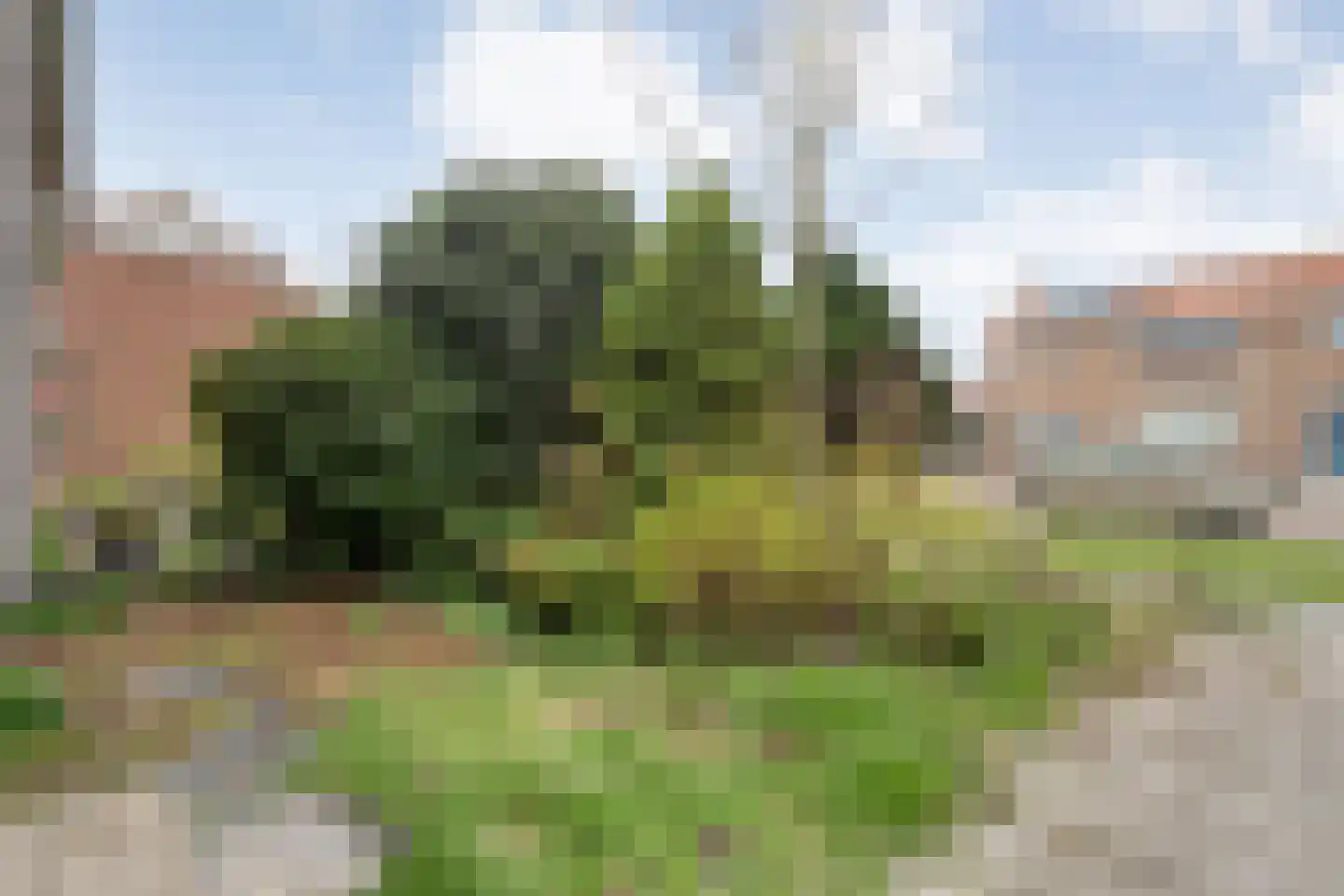 Emmastraat 14 Heino thumbnail 7