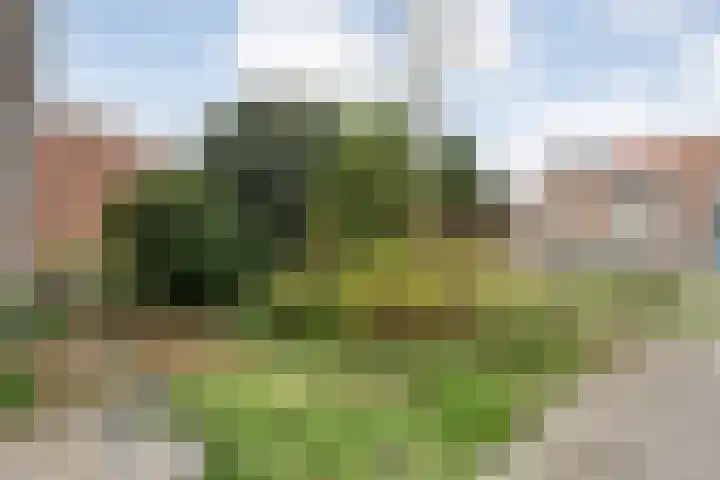 Emmastraat 14 Heino thumbnail 7