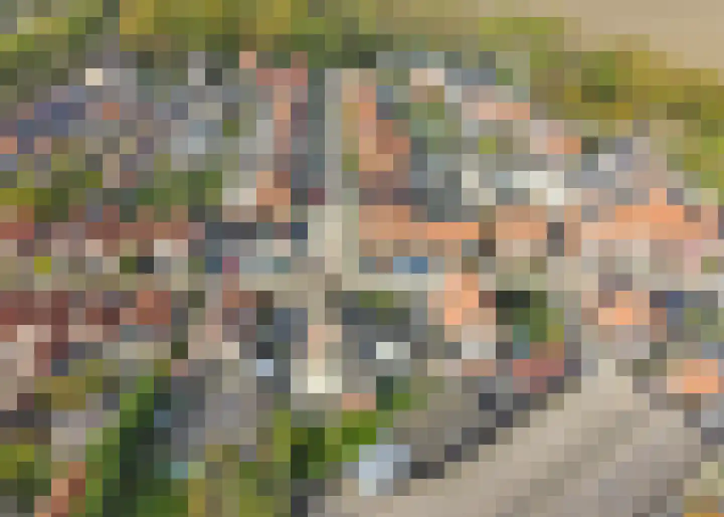 Emmastraat 14 Sint Philipsland thumbnail 45