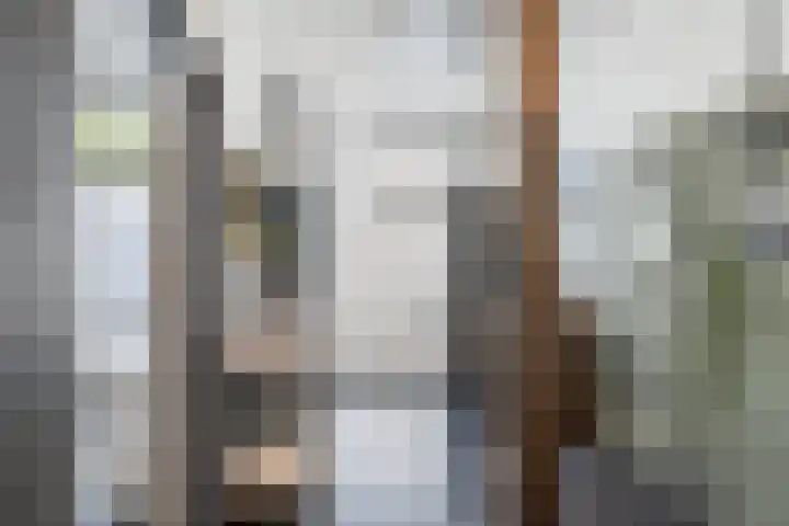 Emmastraat 147 Vlaardingen thumbnail 20