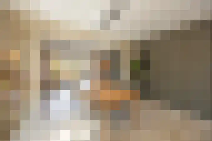 Emmastraat 15 Echt thumbnail 21