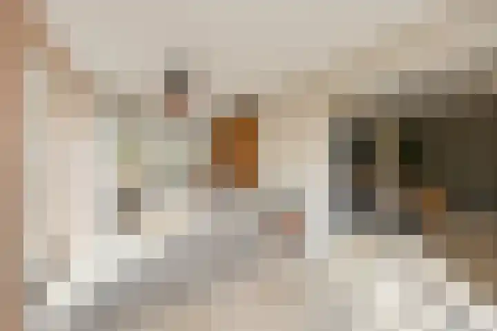 Emmastraat 15 Echt thumbnail 25