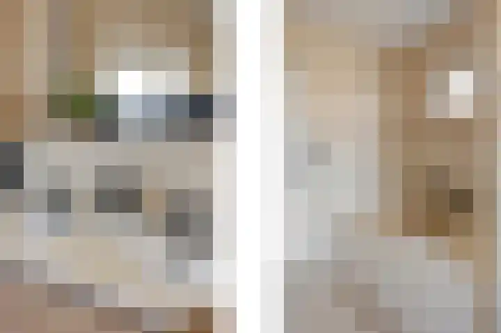 Emmastraat 15 Echt thumbnail 51