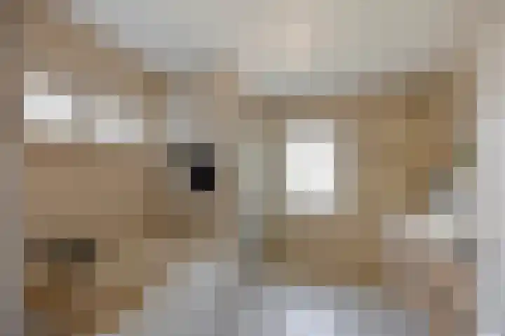 Emmastraat 15 Echt thumbnail 53