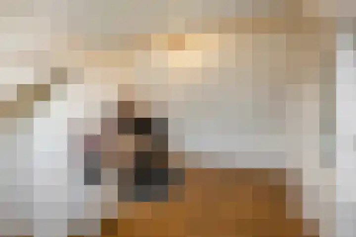 Emmastraat 15 Echt thumbnail 59