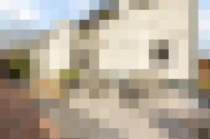 Emmastraat 15 Echt thumbnail 77