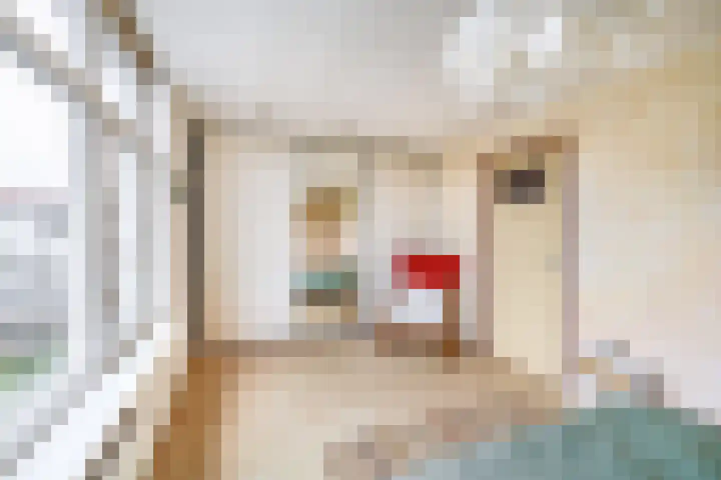 Emmastraat 15 Krommenie thumbnail 20