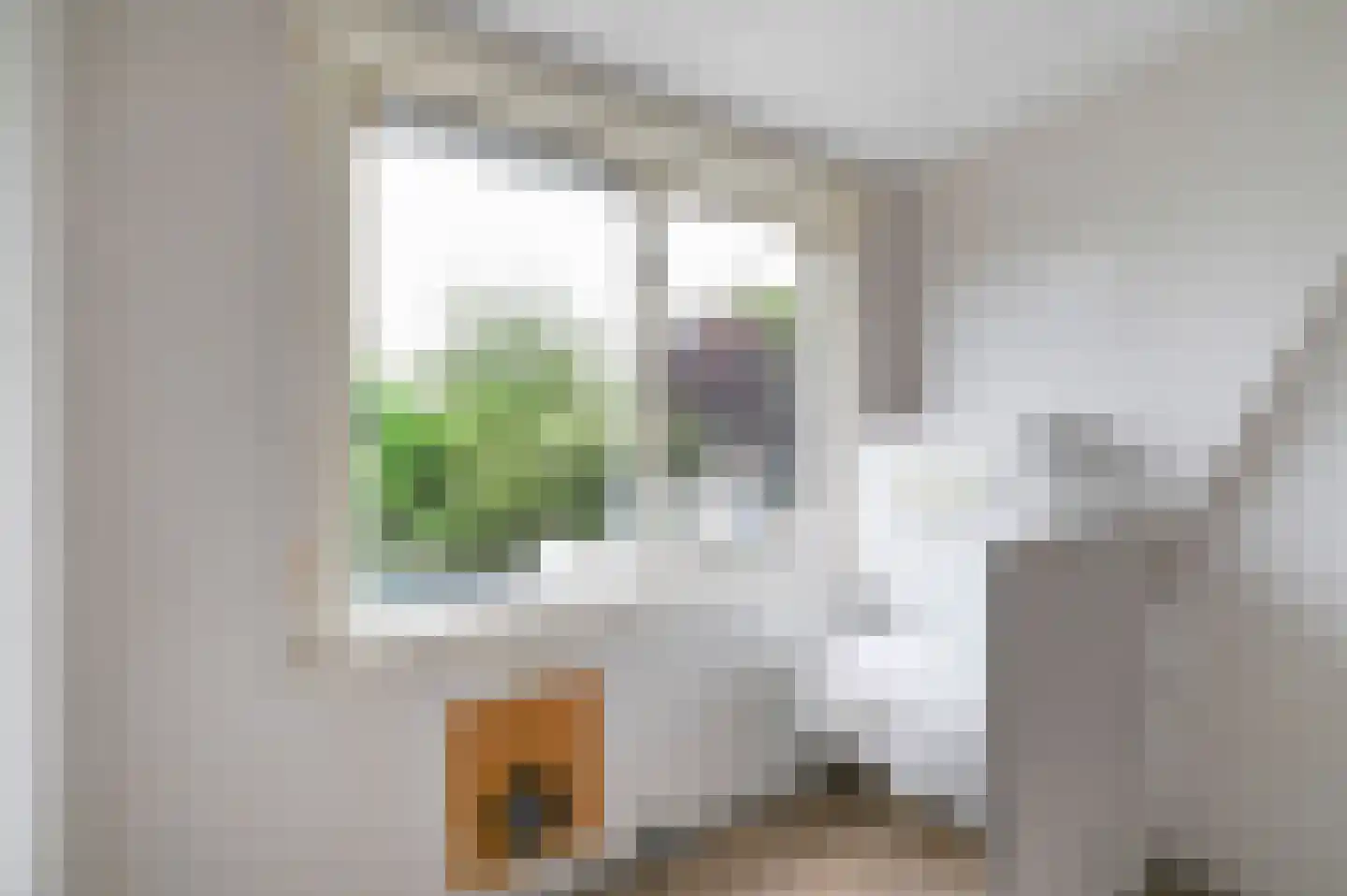 Emmastraat 15 Voorburg thumbnail 13