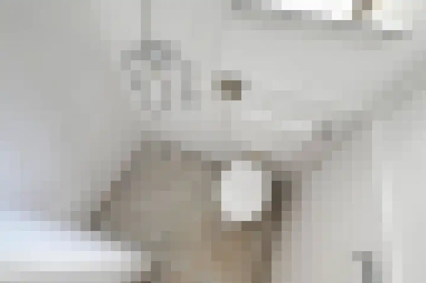 Emmastraat 15 Voorburg thumbnail 7