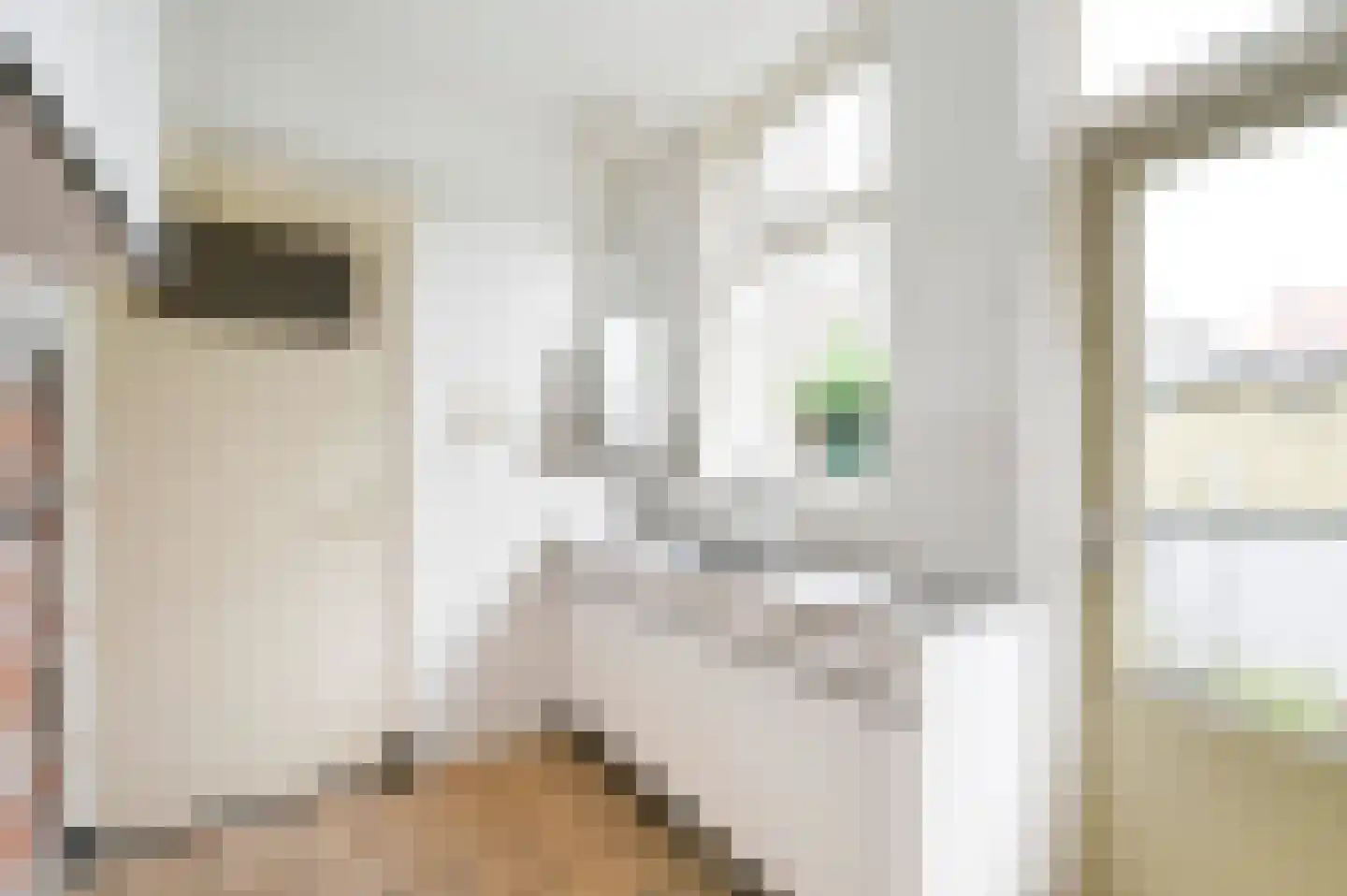 Emmastraat 15 Voorburg thumbnail 9
