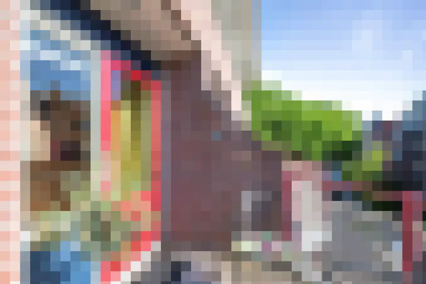 Emmastraat 150 Alkmaar thumbnail 18