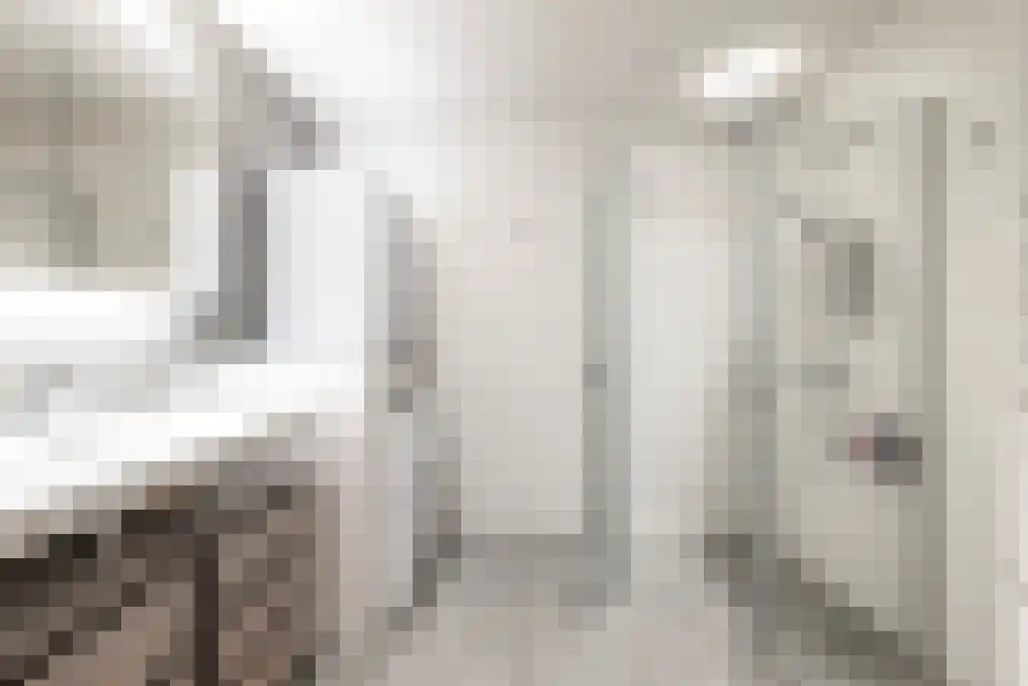 Emmastraat 150 Alkmaar thumbnail 24