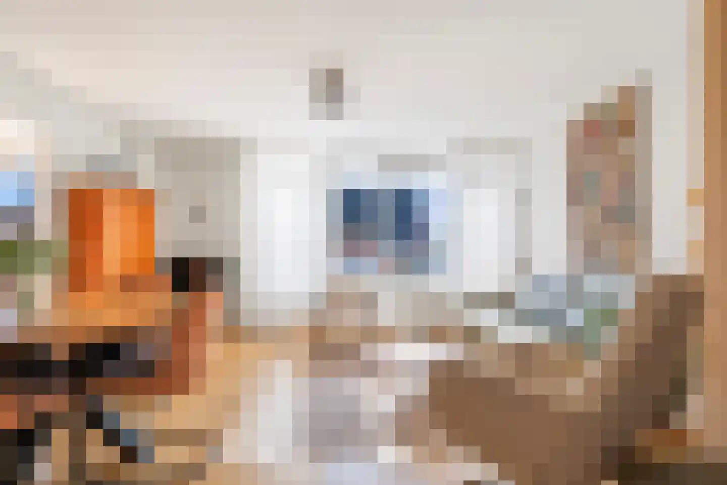 Emmastraat 150 Alkmaar thumbnail 6