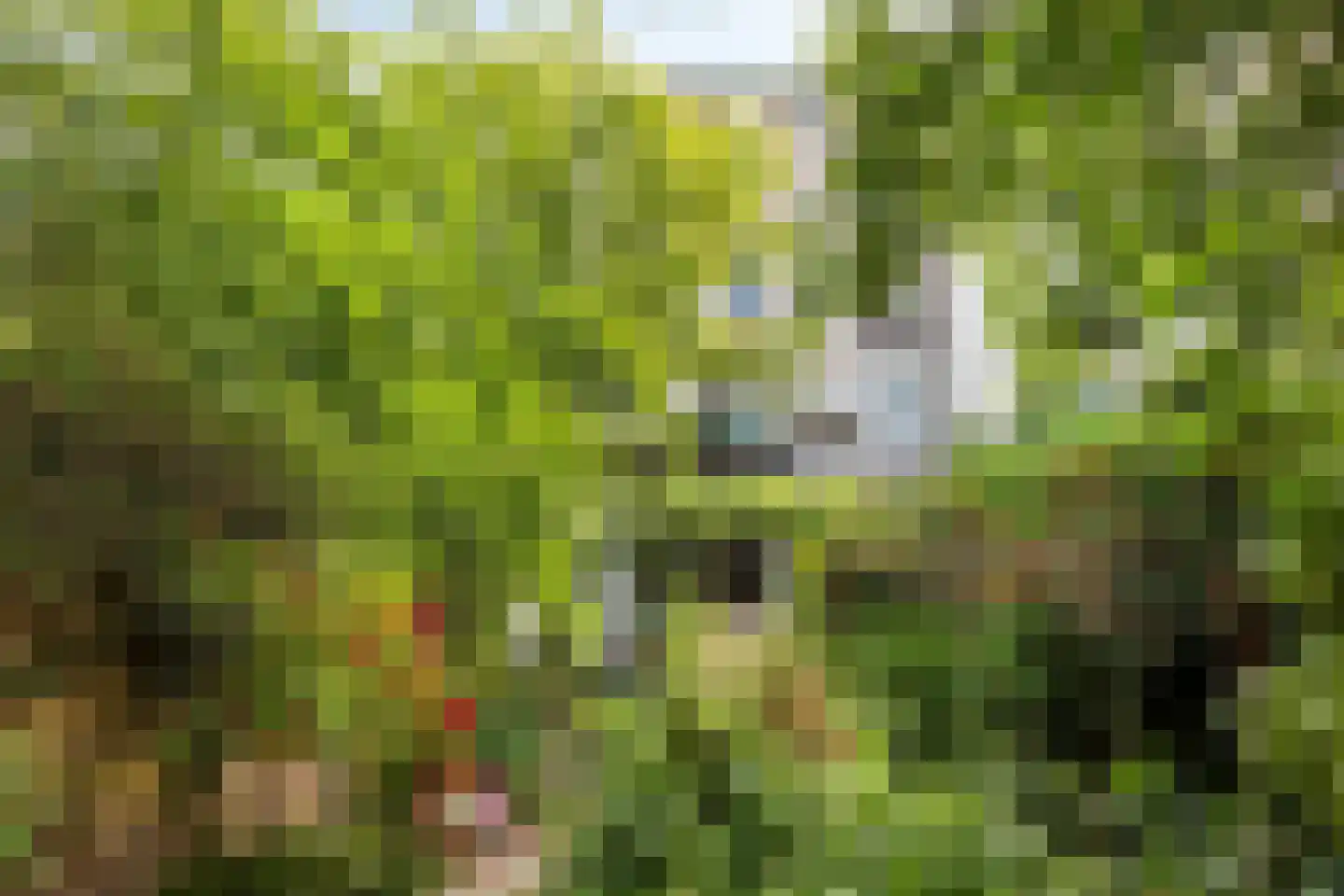 Emmastraat 16 1 Arnhem thumbnail 30