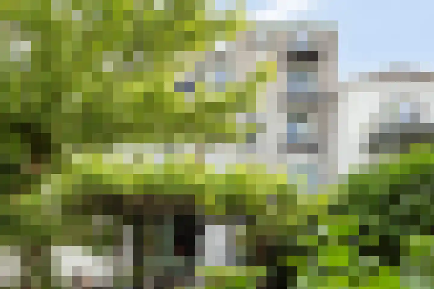Emmastraat 16 1 Arnhem thumbnail 31